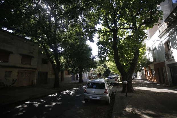 Una contadora platense y sus tres hijos, maniatados en un asalto