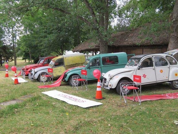 Exposición solidaria de autos para ayudar al Hogar del padre Carlos Cajade