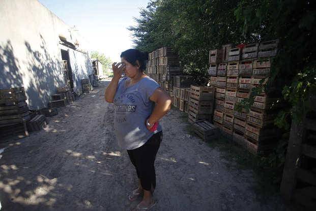 La delincuencia también golpea en la zona rural platense