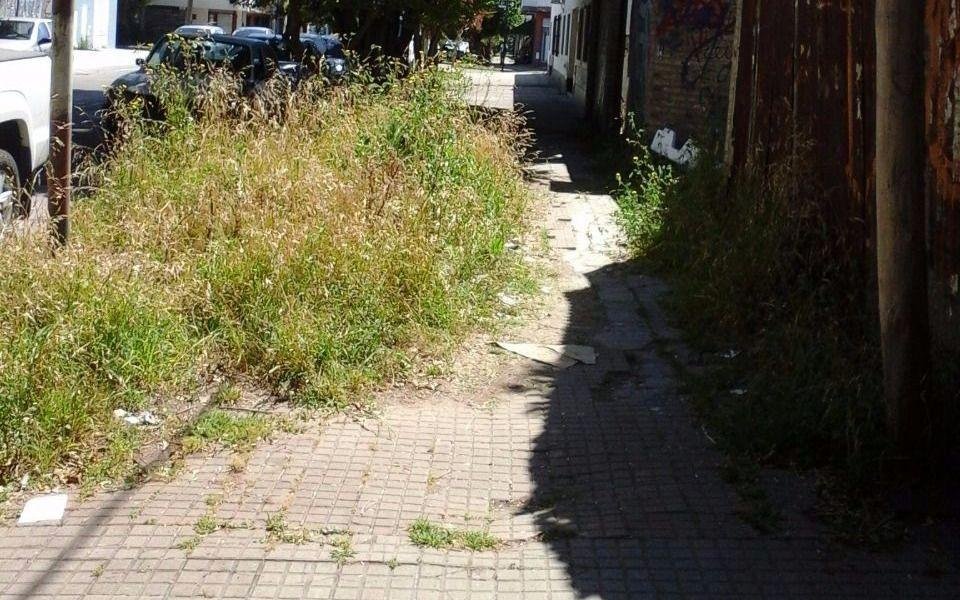 Una vereda abandonada en el corazón de La Loma