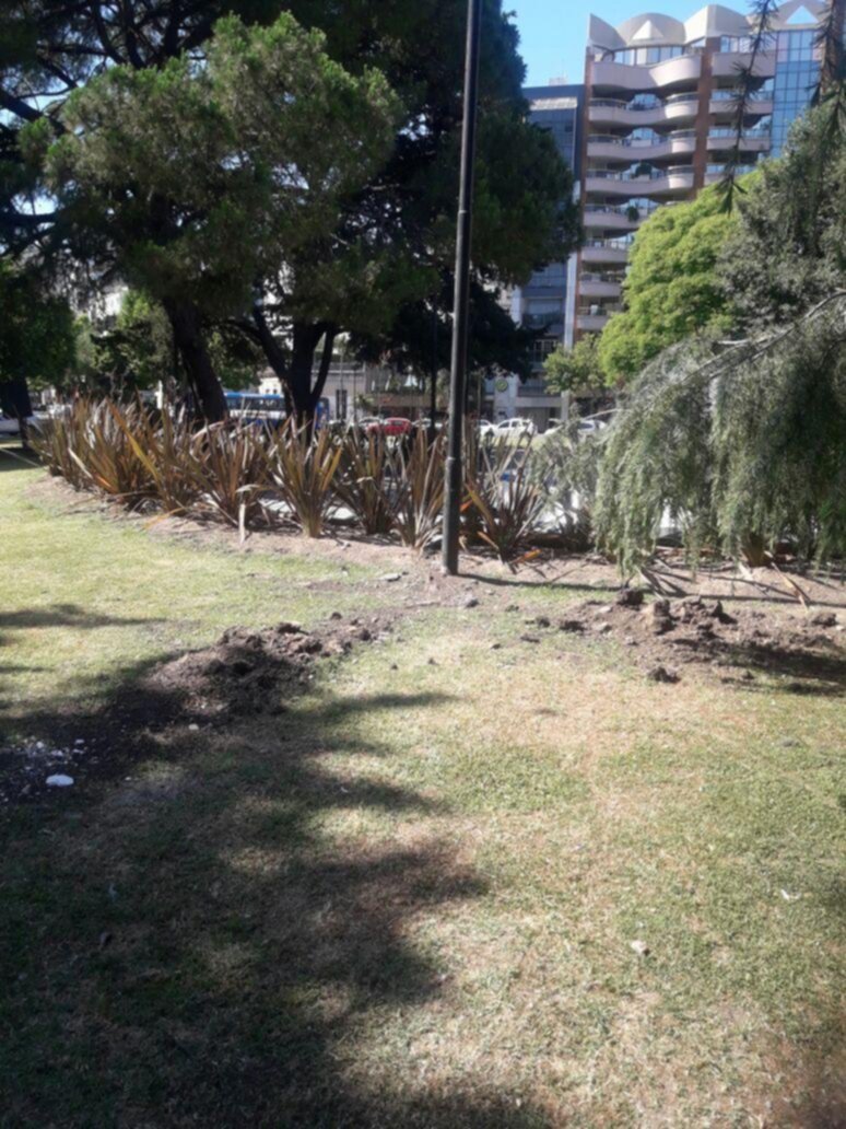Pusieron luces en Plaza Paso, pero quedó llena de cicatrices