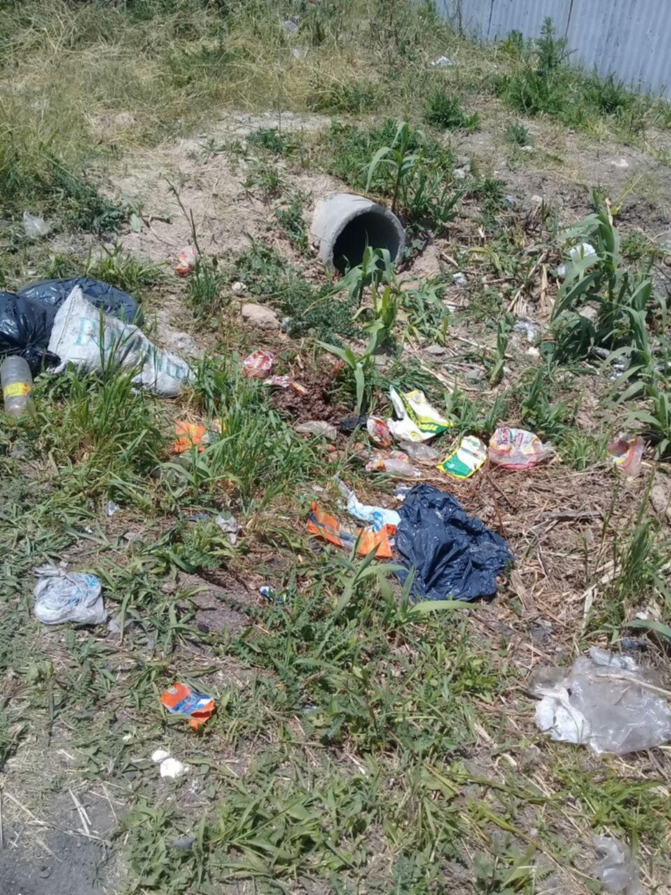 Un terreno al que tienen de punto para tirar la basura