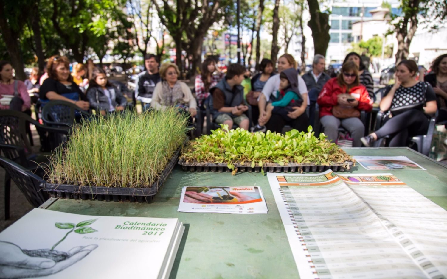 Nueva edición del taller de huerta en la Plaza de la cruz