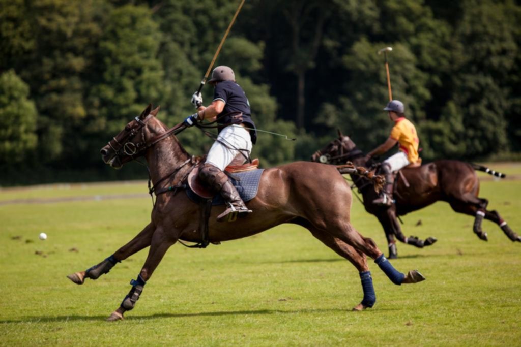 Científicos argentinos logran crear el primer caballo de polo diseñado genéticamente