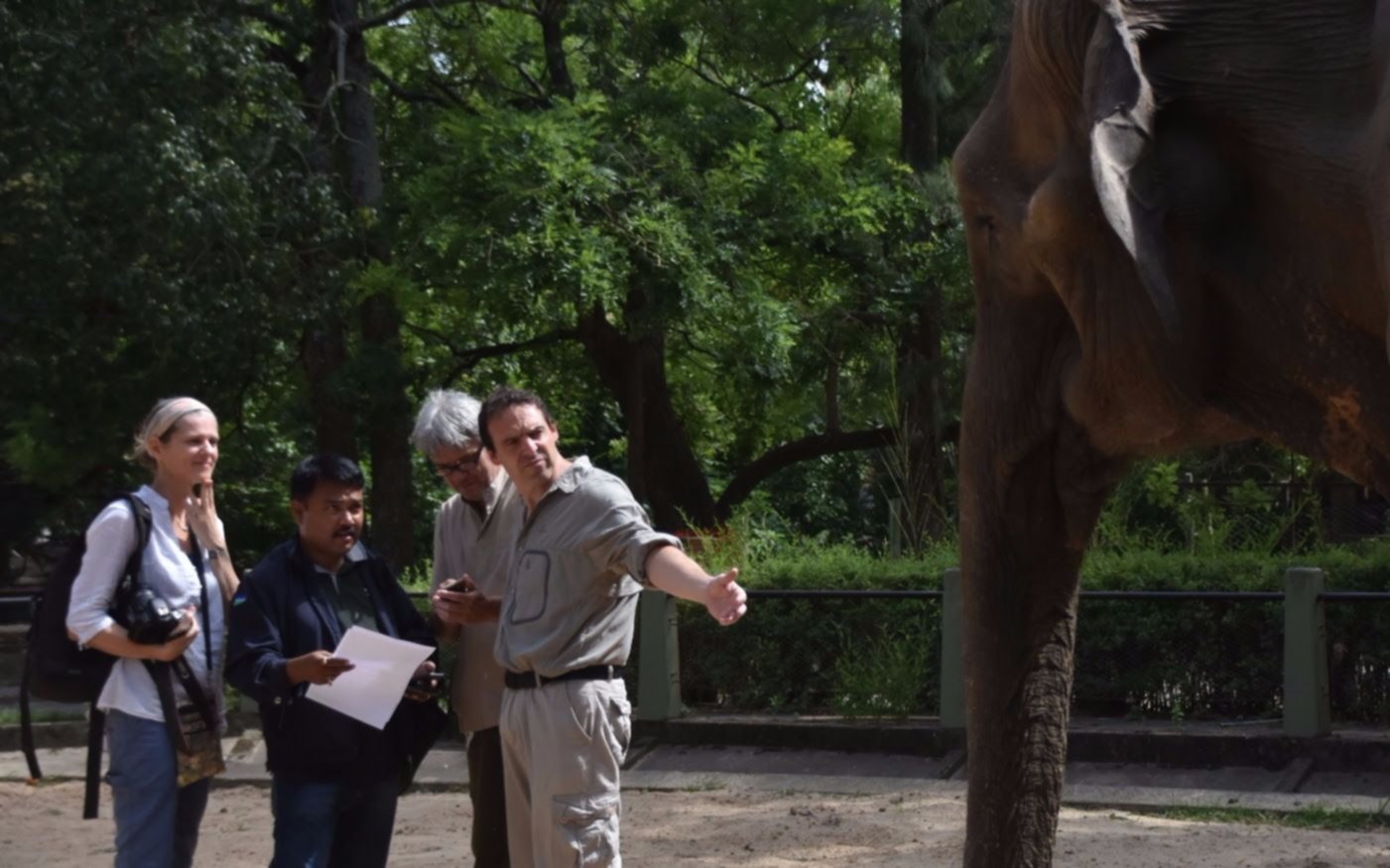 Un especialista hindú ya se encuentra en la Ciudad para tratar a la elefante Pelusa