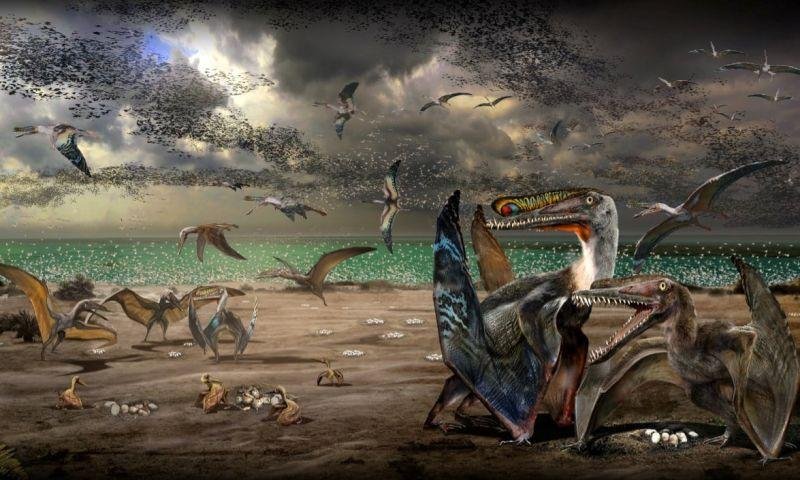 Científicos hallaron en China 215 huevos de pterosaurio, un antiguo reptil volador