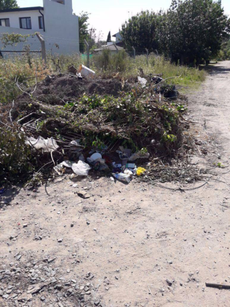 Acumulación de desechos en la zona de 448 bis y 29
