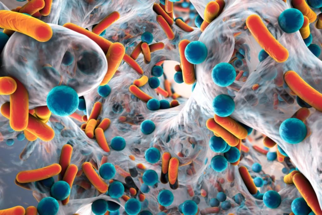 Enfermedades crónicas: advierten sobre la resistencia de bacterias a los medicamentos