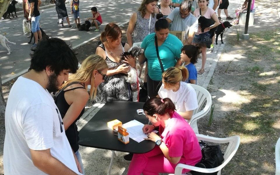 El municipio vacunó y desparasitó a más de 200 perros y gatos en una nueva jornada veterinaria