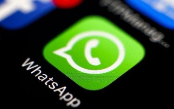 Conectate con EL DIA a través de WhatsApp