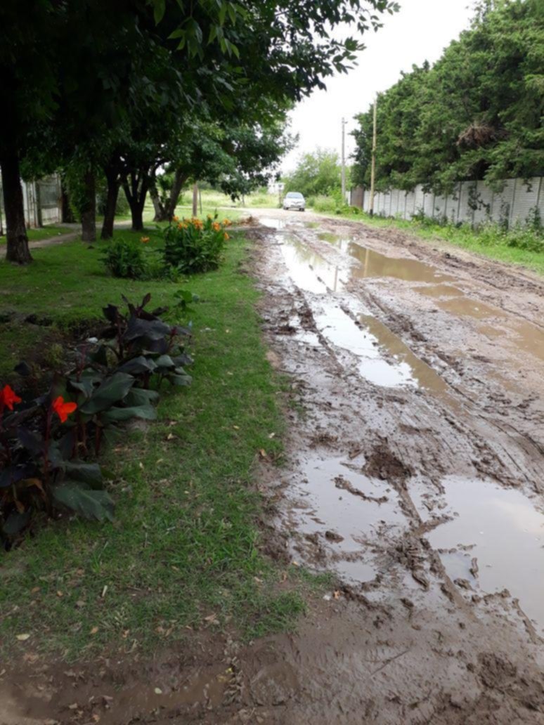 Avanza el deterioro de la calle 54 entre 149 y 150