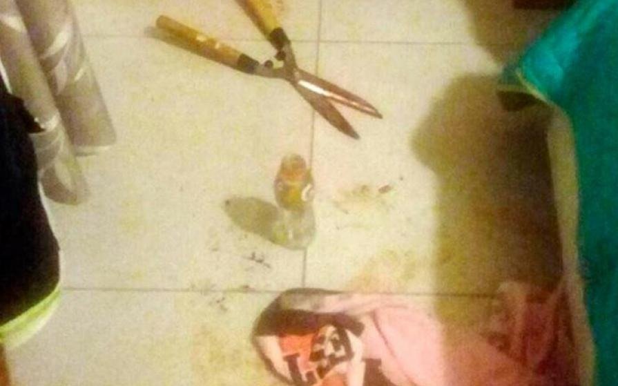 Prisión preventiva a la mujer que le cortó los genitales a su amante