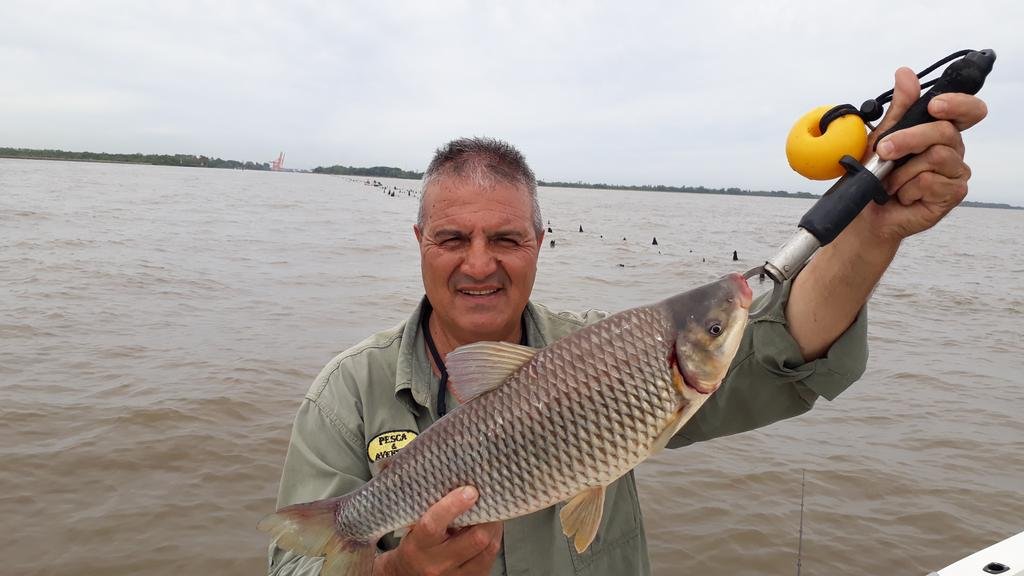 La última pesca del año fue con una especie de las más lindas: las bogas del Río de la Plata