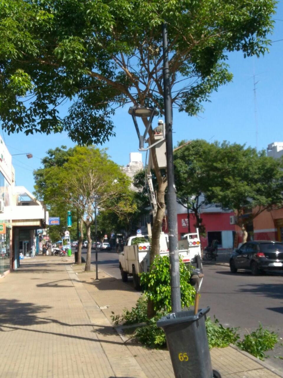 Las motosierras no aflojan ni en pleno verano y las podas siguen siendo motivo de controversia