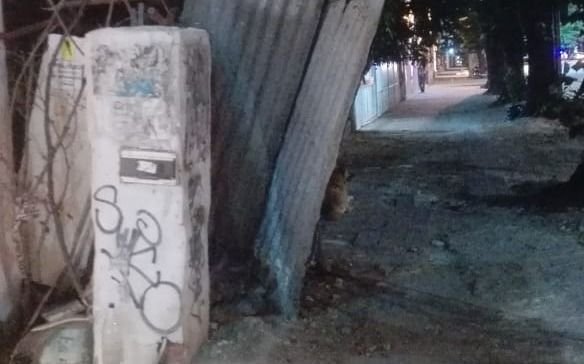 Reclaman por una casa abandonada en 7 y 62