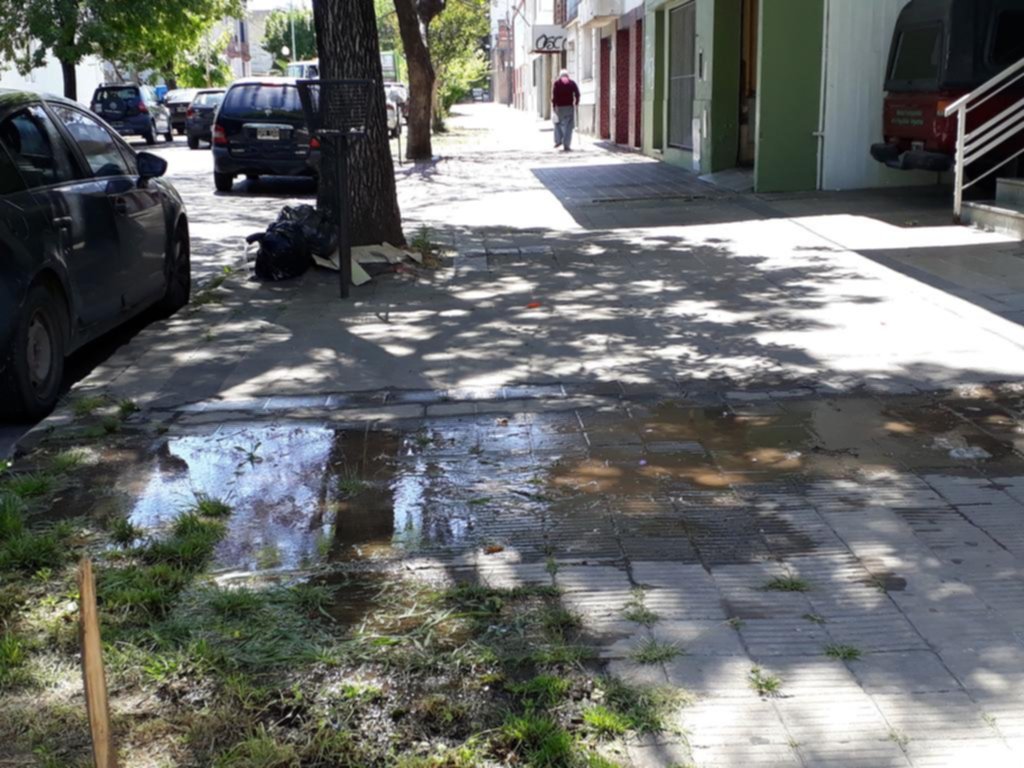 Una laguna en la vereda de diagonal 75 entre 17 y 18