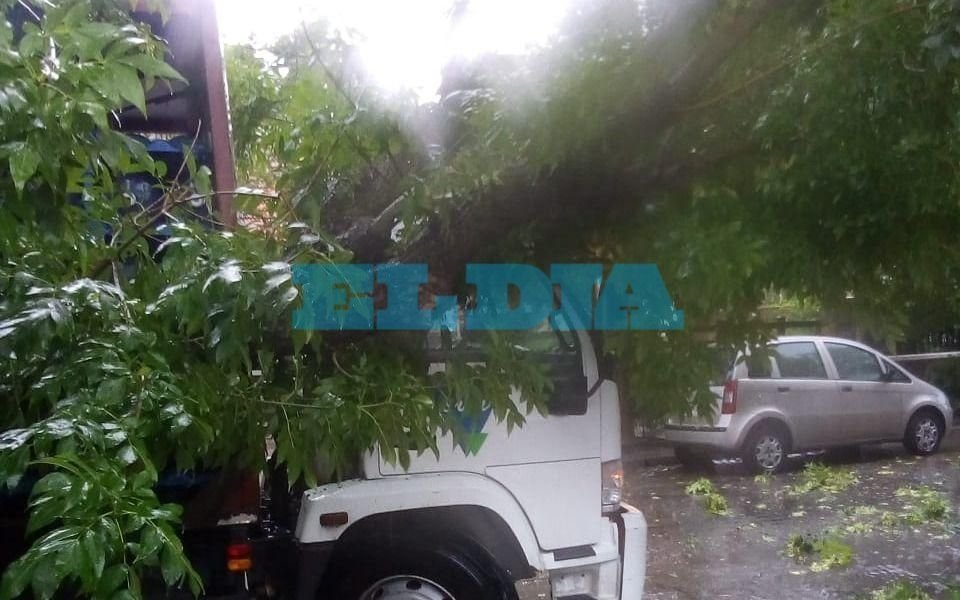 En medio de la lluvia, una rama aplastó a un camión en Barrio Norte