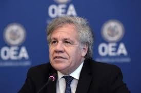 Expulsaron al titular de la OEA del Frente Amplio