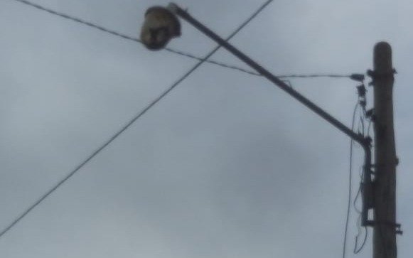 Quejas por falta de iluminación en zona de Villa Elisa
