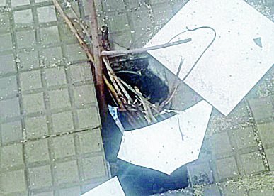 Peligro para peatones por pozo en 12 y 47