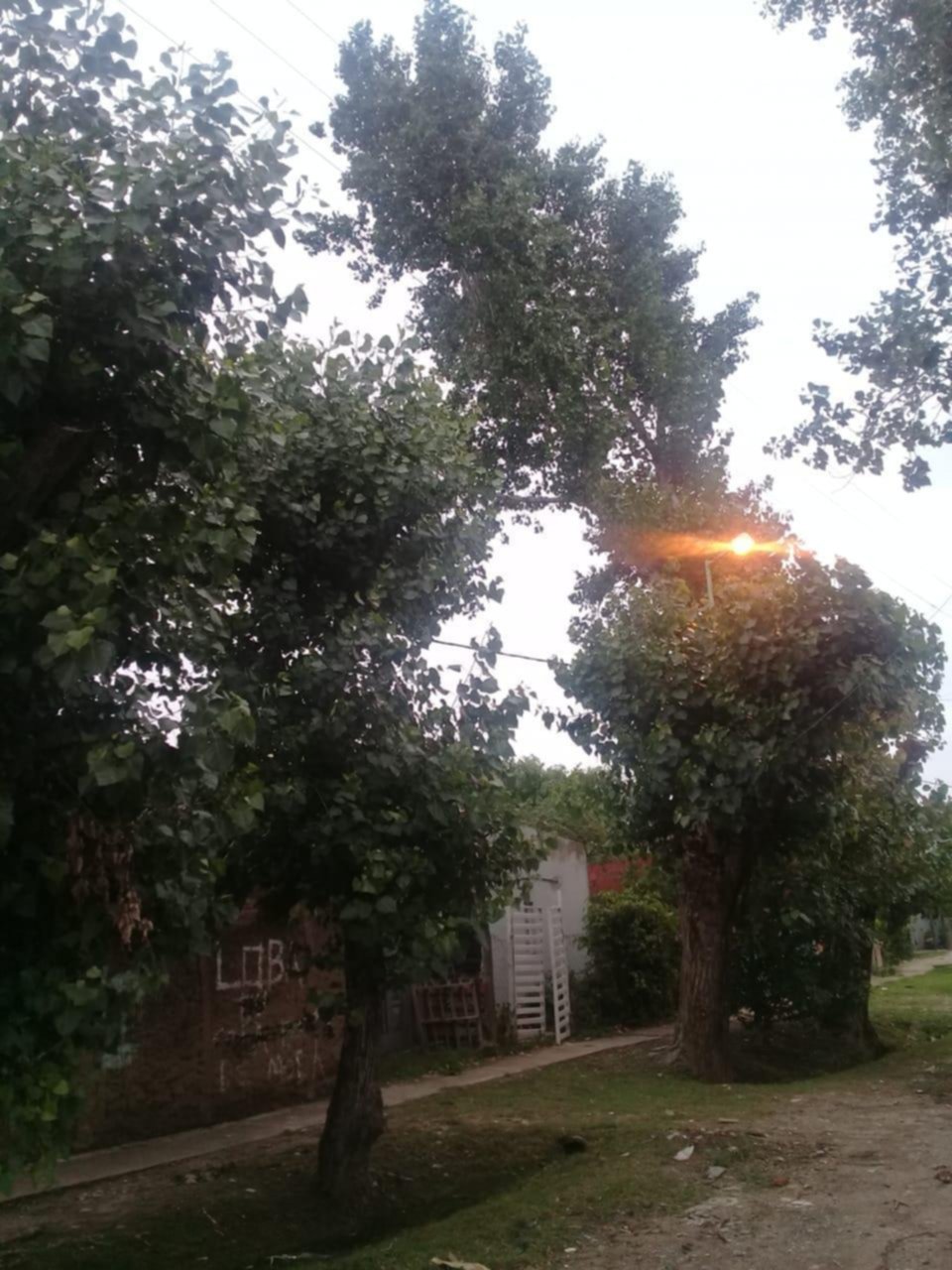 Luminaria encendida todo el día en un barrio de Berisso