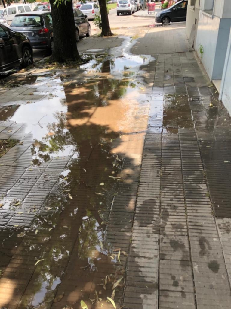 Filtración y quejas en el barrio de plaza Malvinas