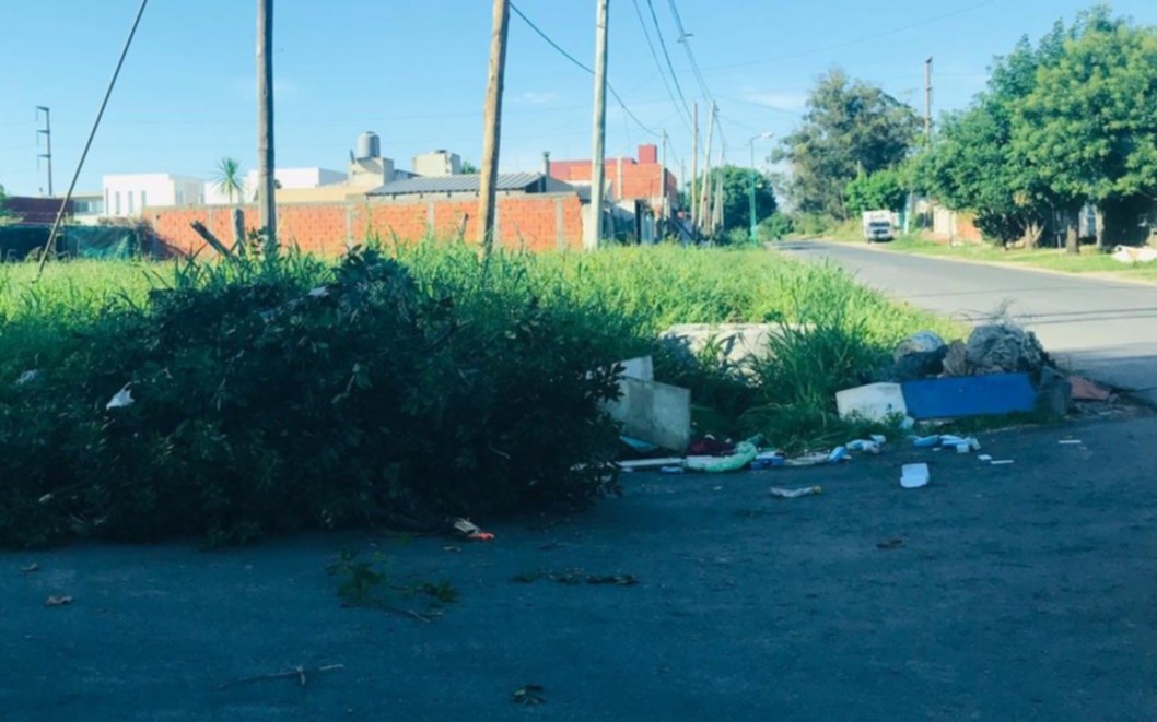 Renuevan reclamo por acumulación de basura en 144 y 42