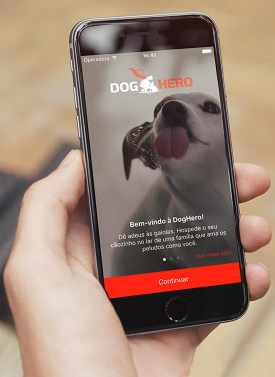 Aplicaciones para perros y gatos en vacaciones