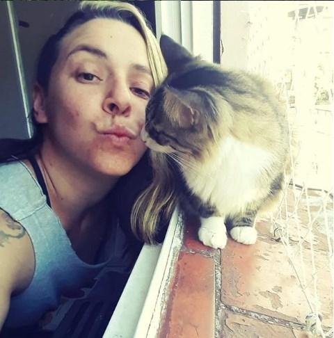 Para gatos