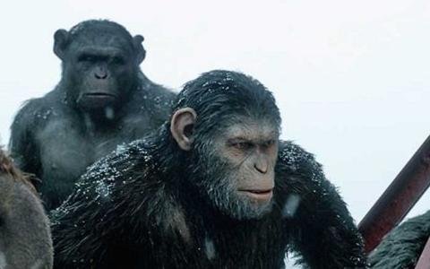 “El planeta de los simios”, otra franquicia que vuelve de la mano de Disney