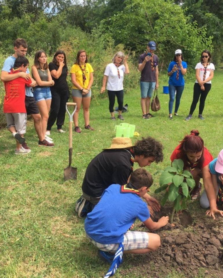 Scouts despidieron el año plantando un árbol