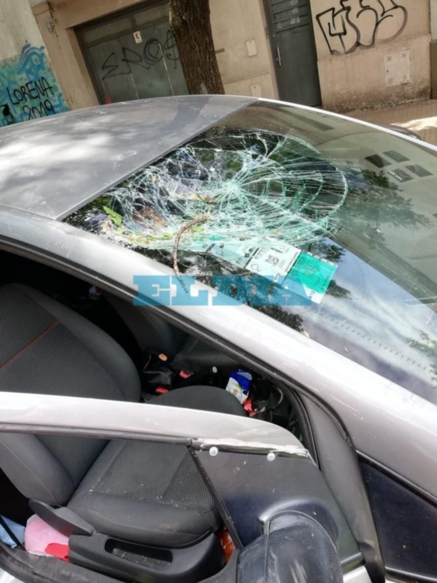 Así quedó el auto de una familia a la que se le cayó un árbol mientras transitaba por 10 y 57