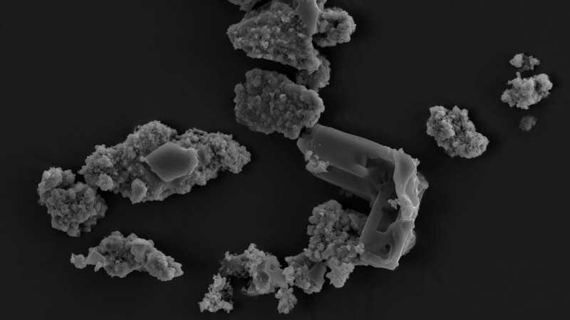 Microorganismo que se alimenta de meteoritos, ¿el origen de la vida en la Tierra?