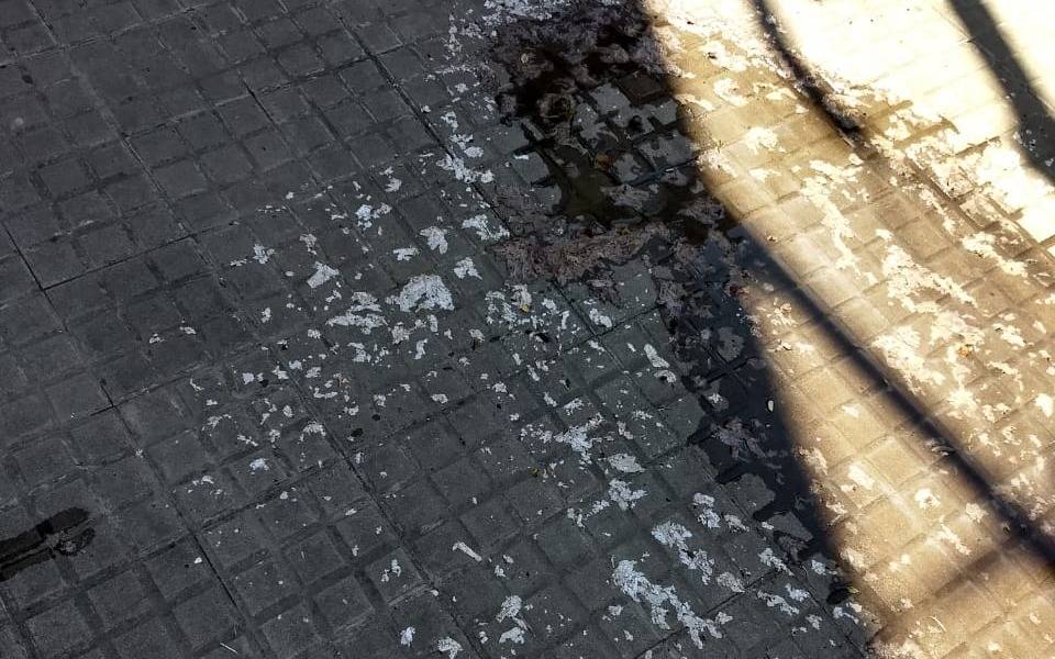 Queja por un desborde cloacal que causa trastornos cotidianos