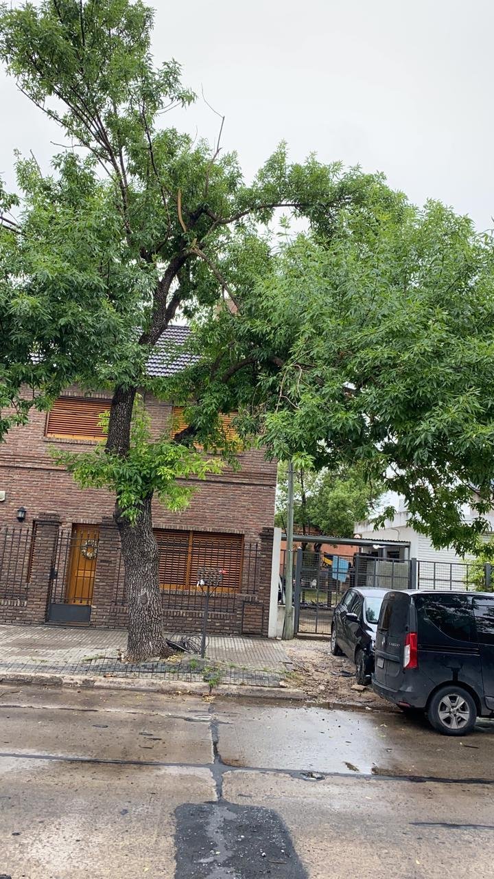 Pedido por una rama a punto de caer en La Loma