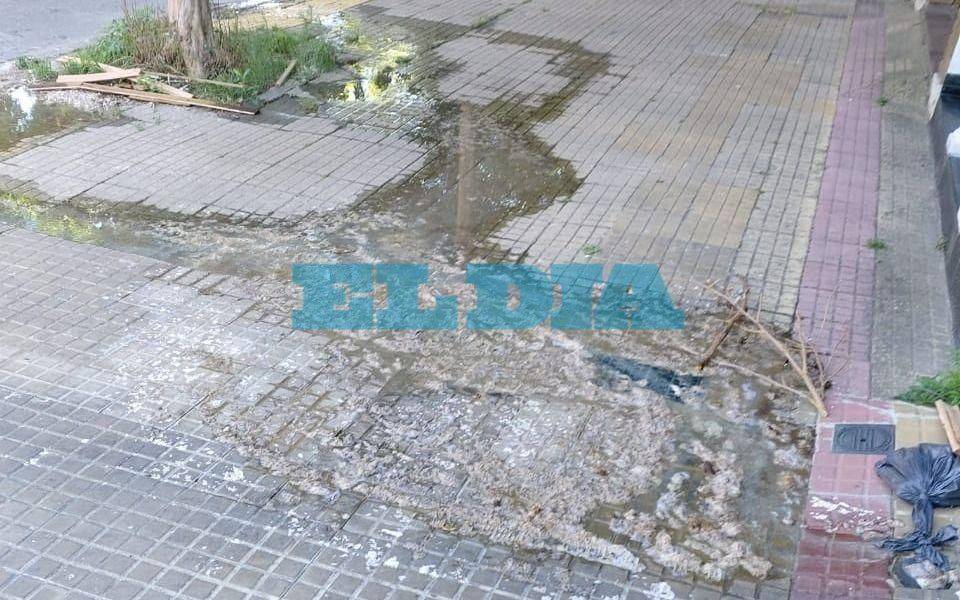  Llevan siete meses reclamando por un desborde cloacal en 20, 62 y 63