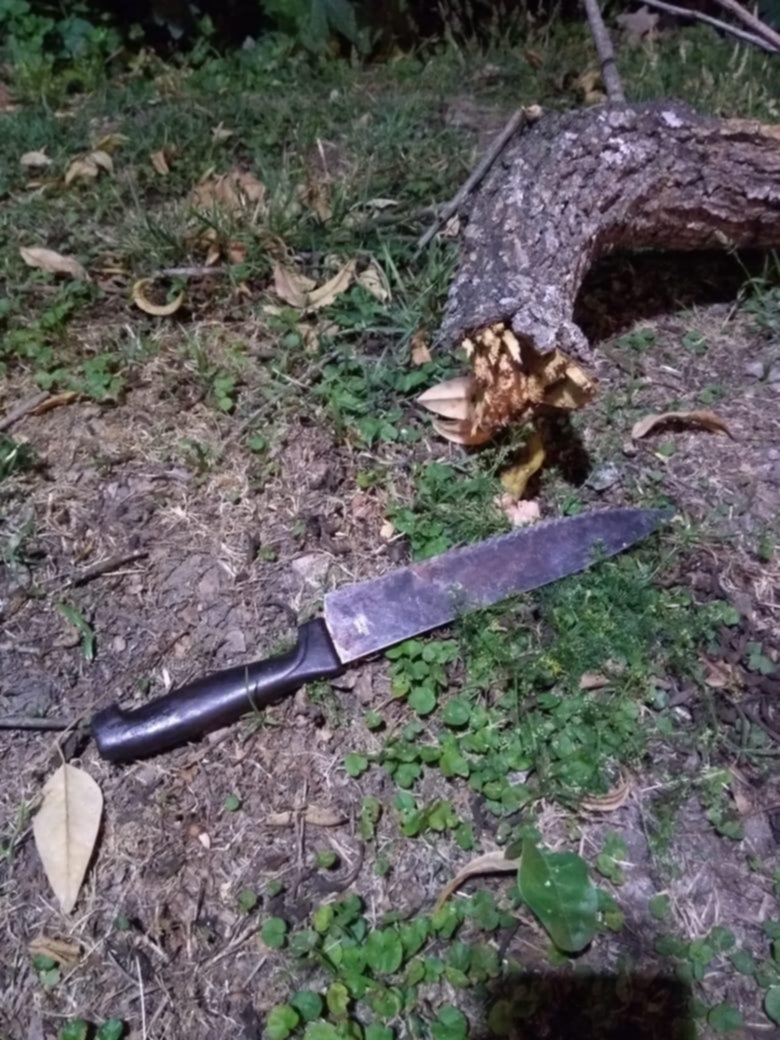 Para reclamar el pago de una deuda irrumpió en una casa y atacó al dueño a cuchillazos