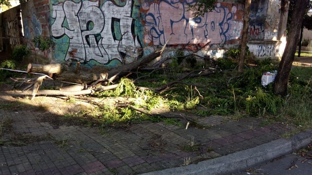 Ramas acumuladas bloquean vereda en 68 y 22