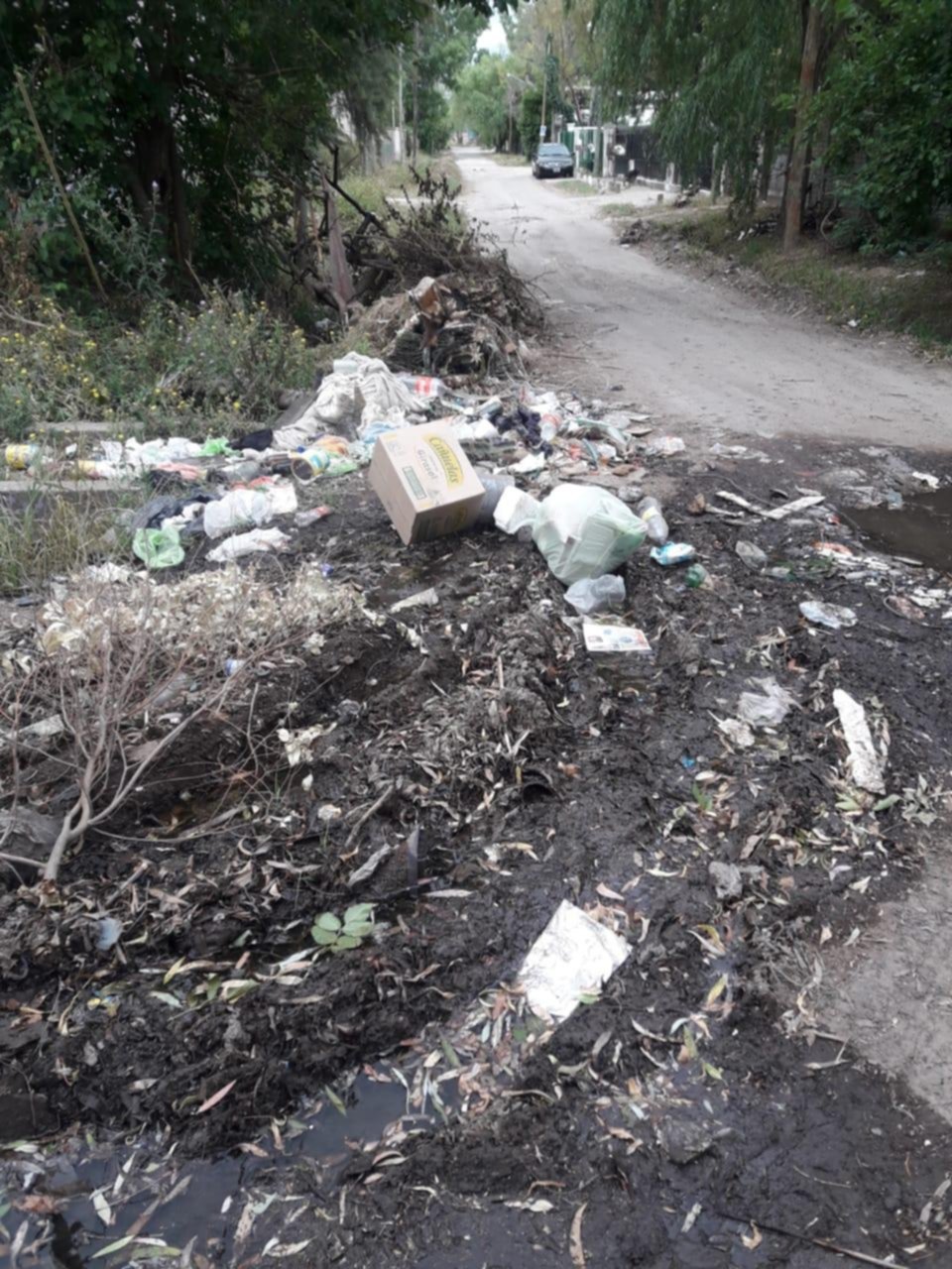 Abandono en Villa Elvira: residuos y cañería rota