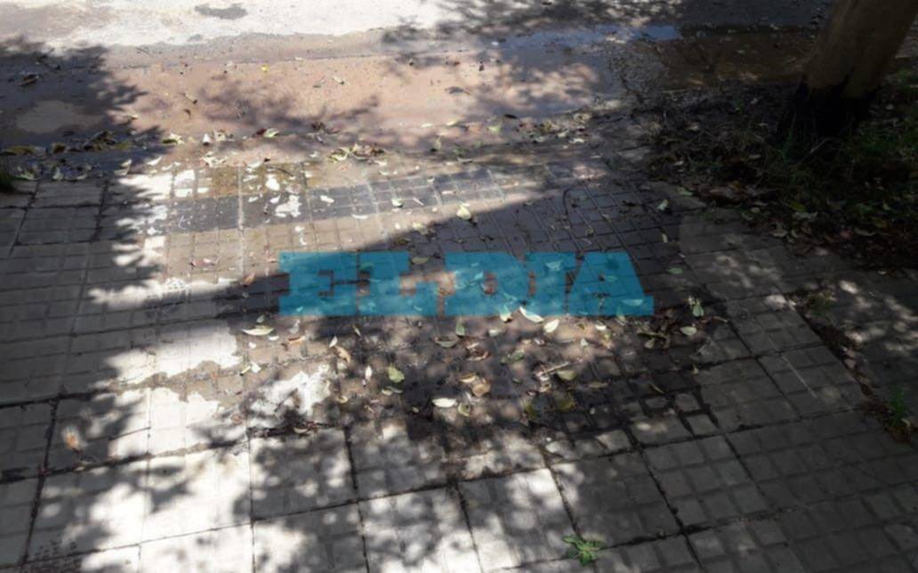 Pérdida de agua lleva cuatro meses en Los Hornos