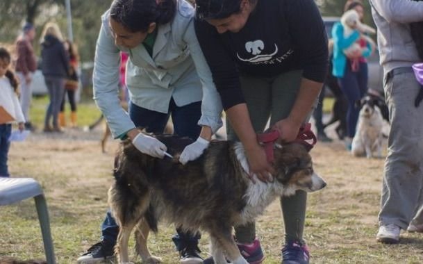 Jornada de Zoonosis en Ezpeleta