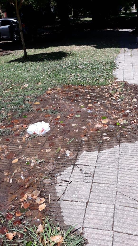 Un desborde cloacal en San Carlos desvela a los vecinos