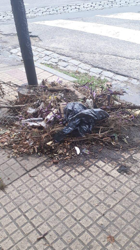 Crece un “micro basural” en diagonal 74 y 56
