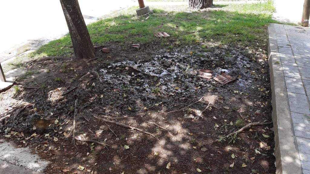 Reclamo por una pérdida de agua y un barrial en San Carlos