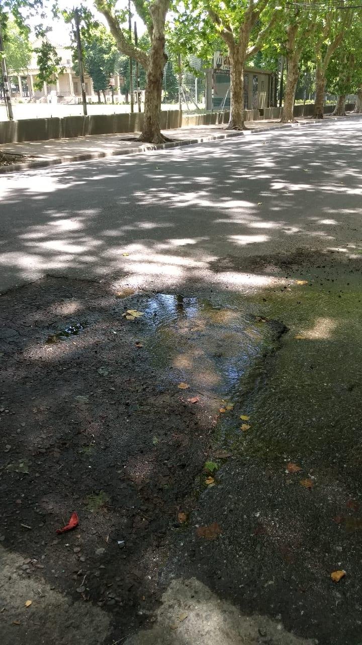 Refuerzan pedido por una cañería rota en calle 50