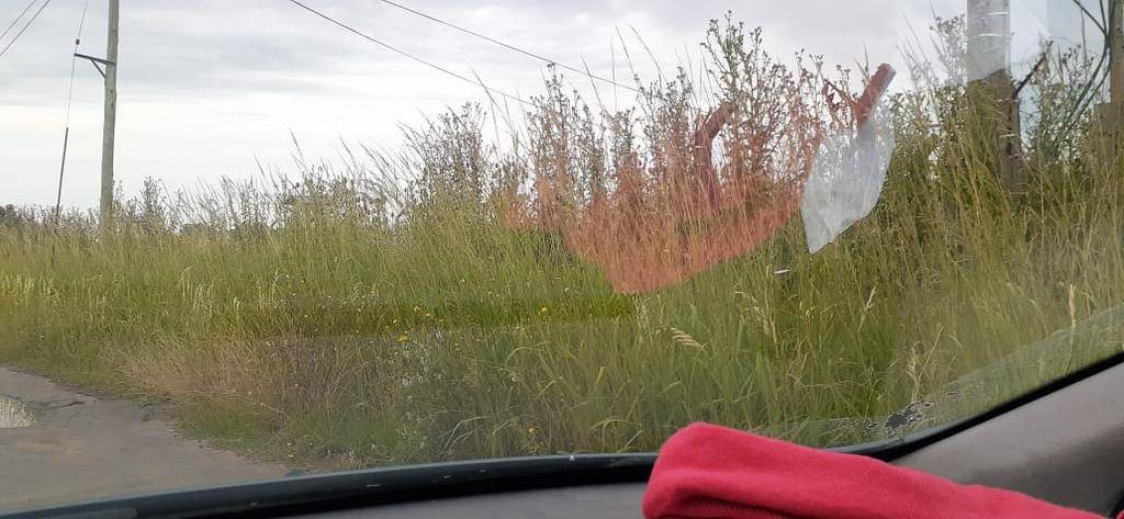 Denuncian abandono en un sector de Gorina
