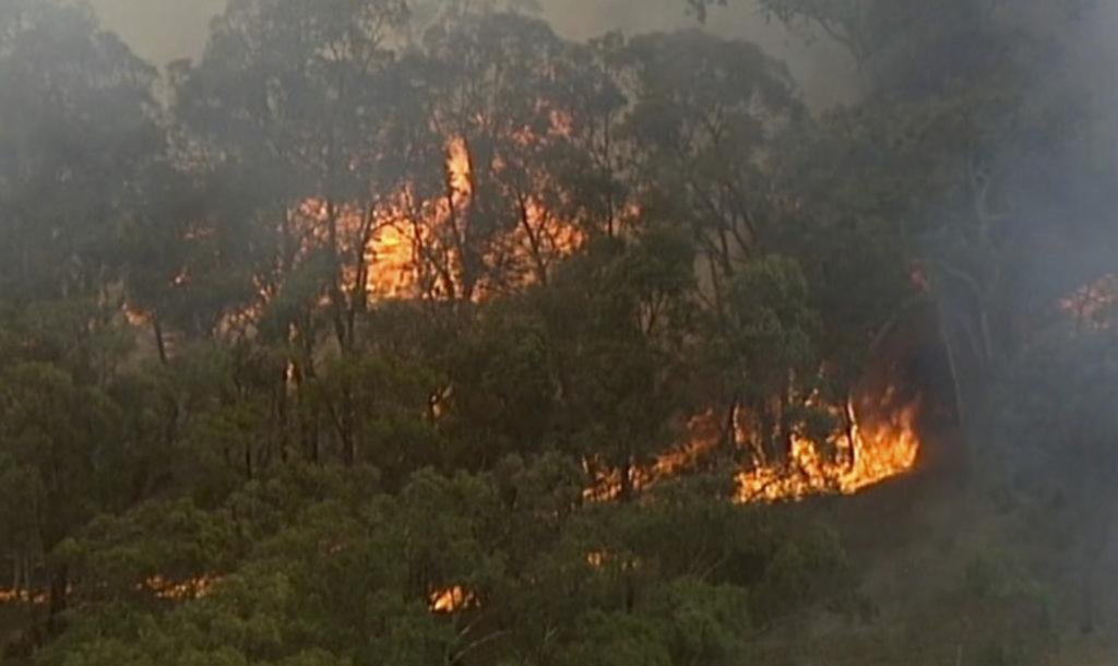 Por el fuego, en Australia cancelan festejos de Año Nuevo