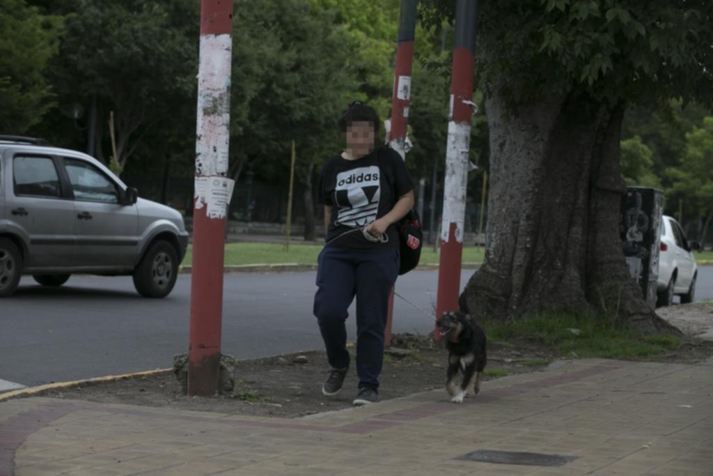 Sin multas ni control, nadie cumple con el hábito de levantar la caca de sus mascotas