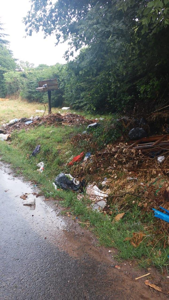Crece un basural a cielo abierto en Villa Elisa