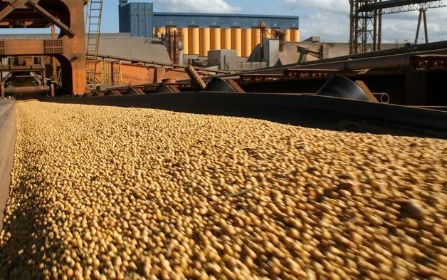 El Gobierno Nacional sacó una resolución que obliga a los exportadores a liquidar divisas